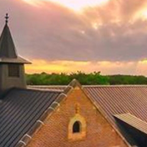 Banner Image For Martin Luther College