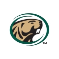 Profile Image For Bemidji State University